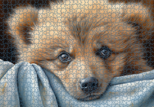 Puzzle RAR0226258.png