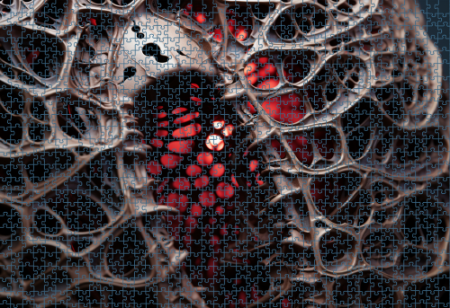 Puzzle RAR0226262.png